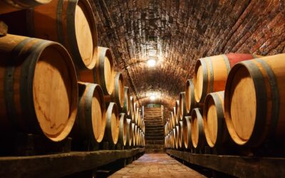 Cave à vin bio à Soyaux : une sélection exquise de vins locaux et bio